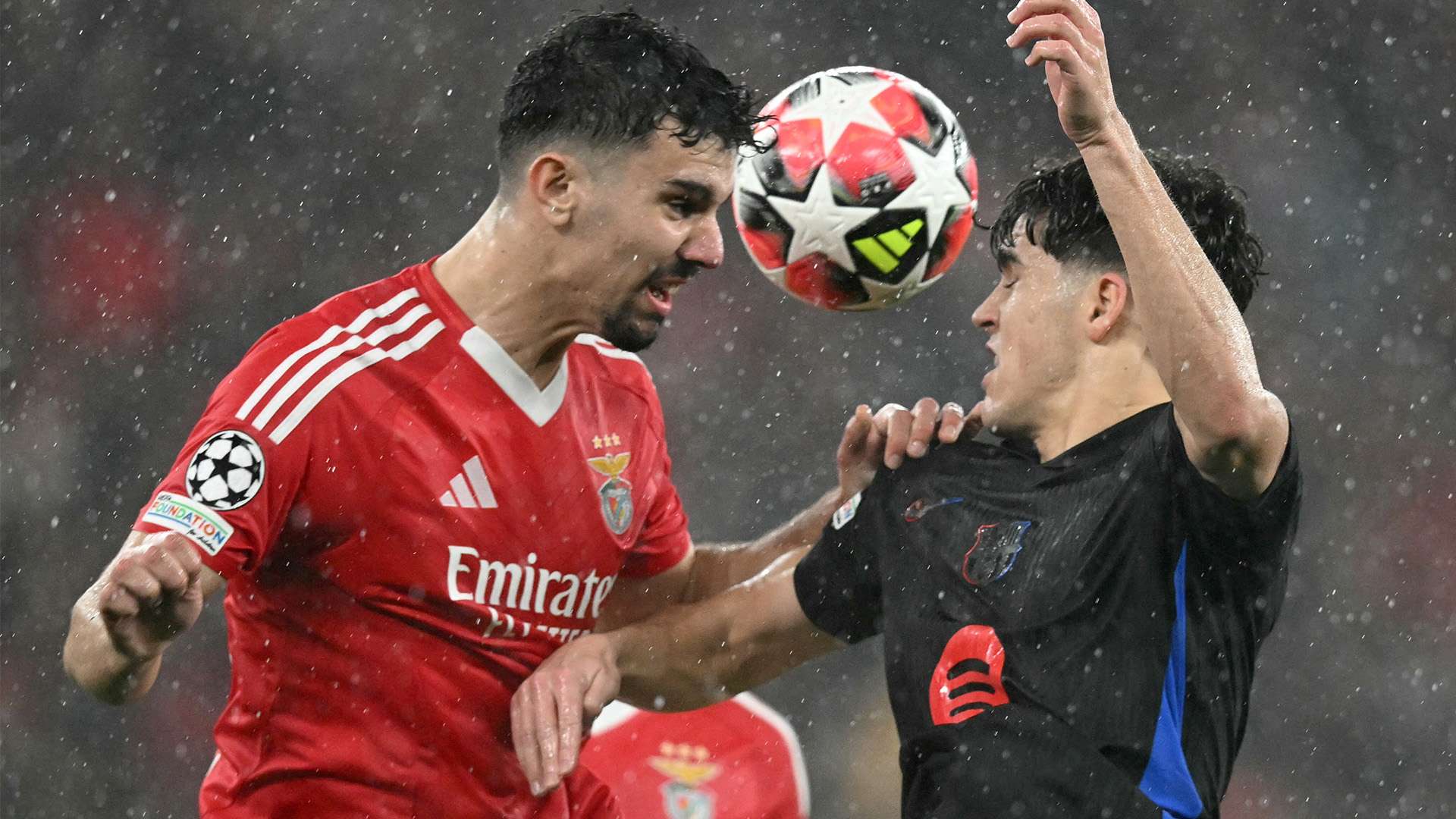 培养年轻球 培养年轻球