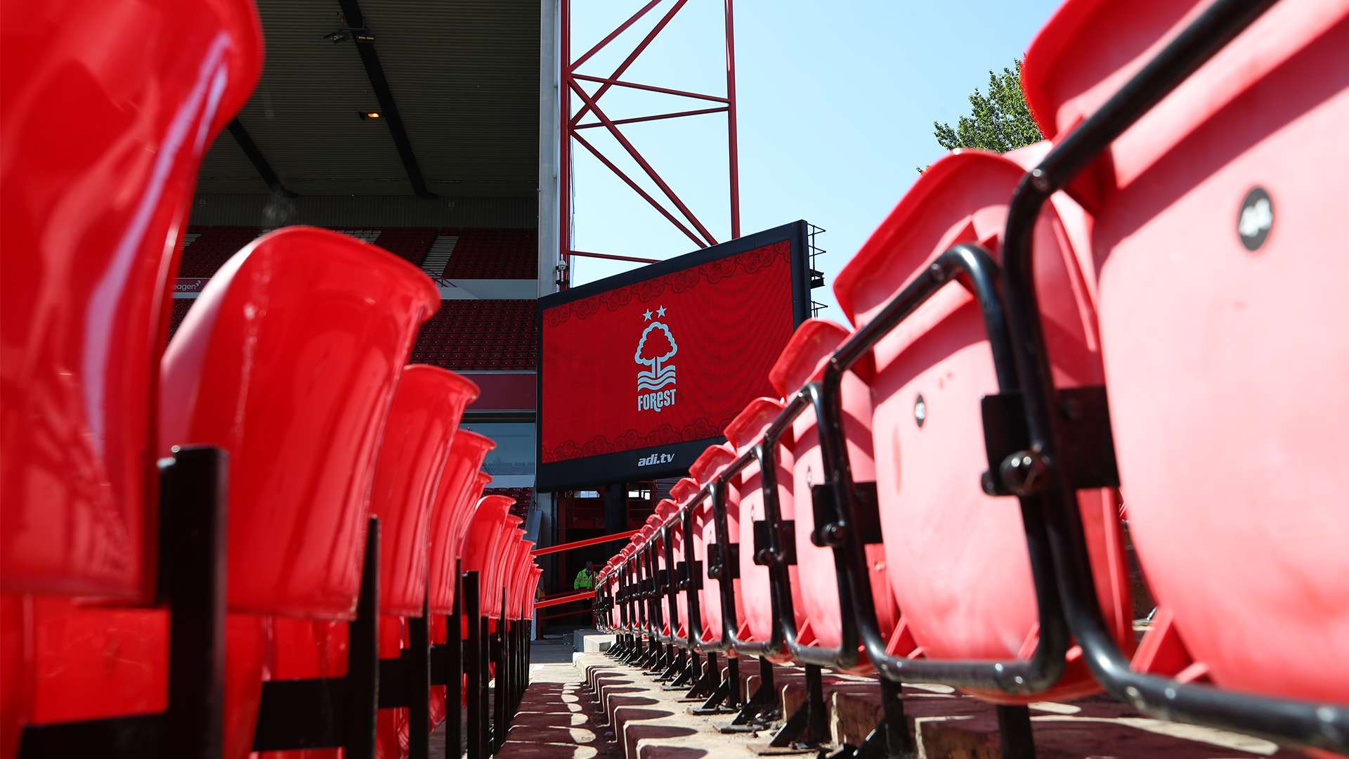 两位运动员 两位运动员