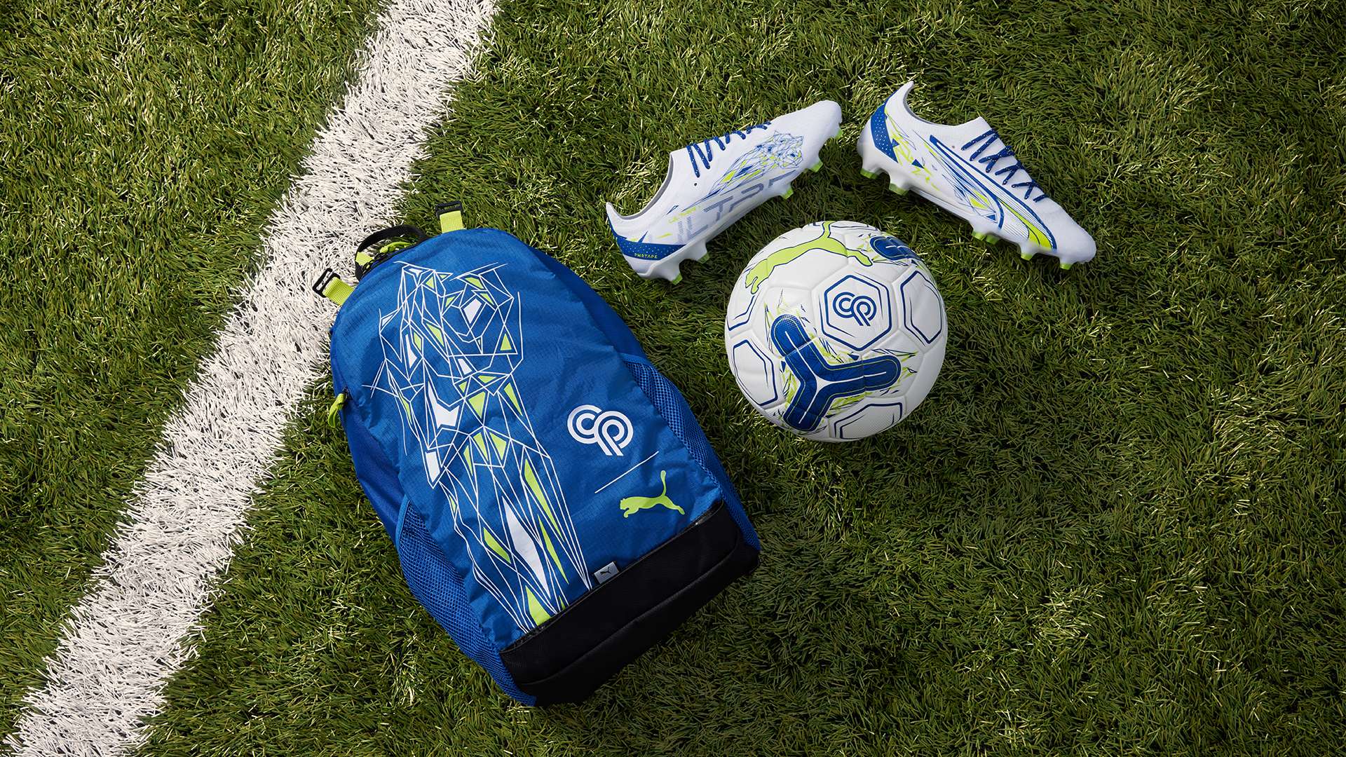 在这篇文章 在这篇文章